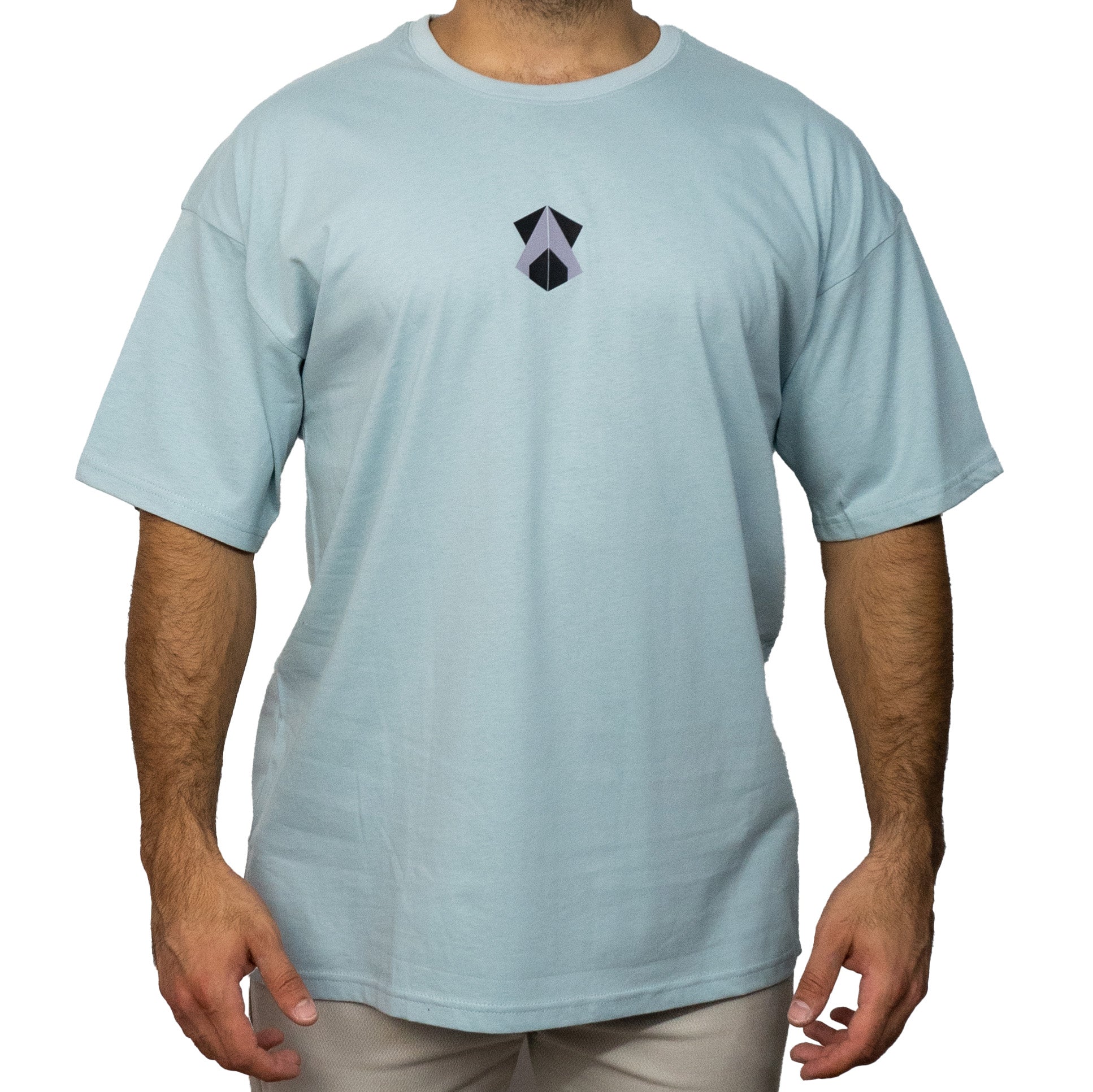 Leichte blaue Grafik-T-Shirts | Akira Oversize T-Shirt | DropUP